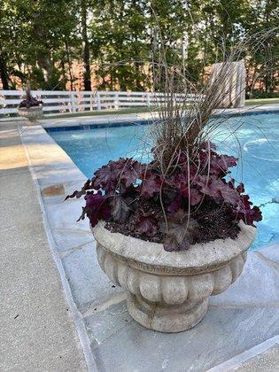 Garden Girl Plantscapes
