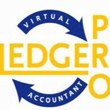 Ledger Pro Inc