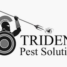 Trident Pest Solutions