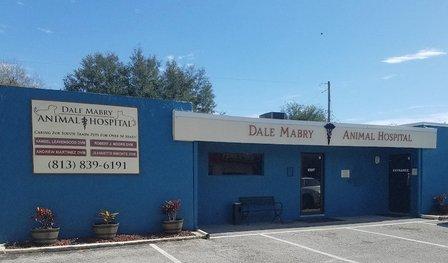 Dale Mabry Animal Hospital