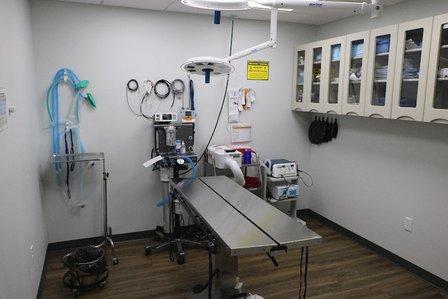 Westshore Animal Hospital