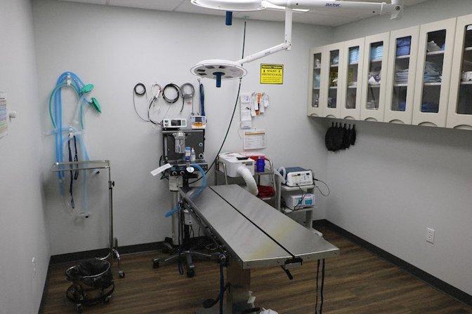 Westshore Animal Hospital