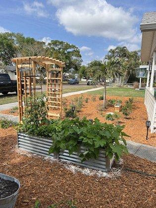 Living Roots Eco Design
