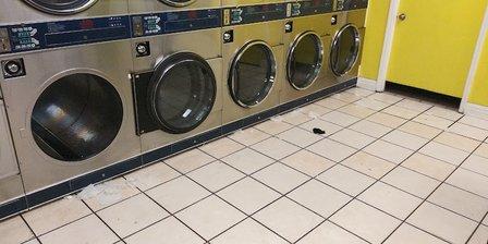 Laundry Queen