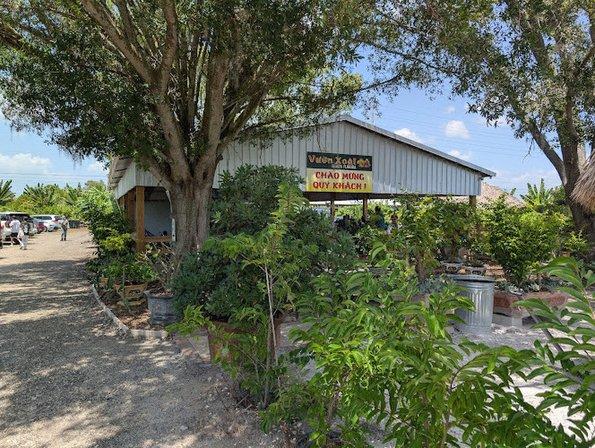Vườn xoài tampa fl llc