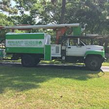 Brian's Quality Tree Service