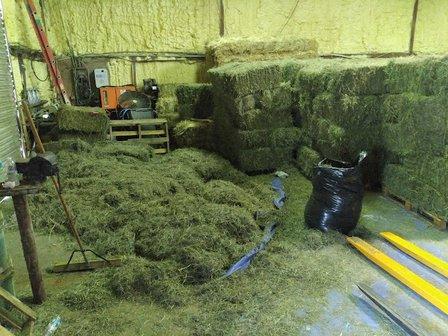 PINELLAS HAY DEPOT