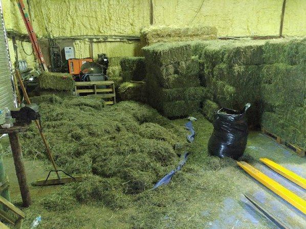 PINELLAS HAY DEPOT
