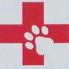 Sun-Surf Animal Hospital
