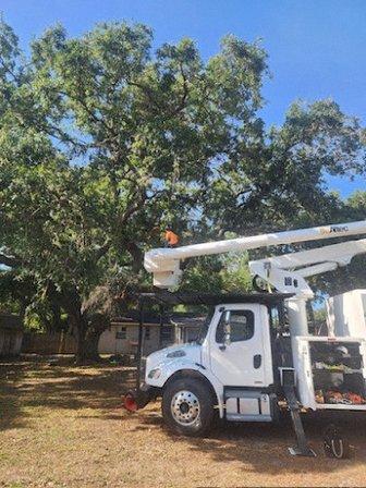 FHG Tree Service