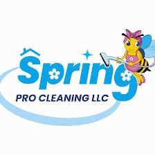 Spring Pro Cleaning