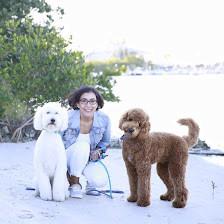 Harper Therapy : Yolanda Harper, LCSW, LLC