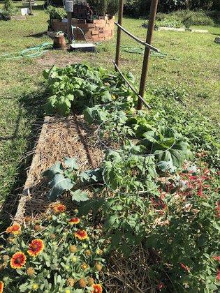 Linwood Community Garden