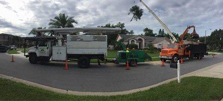 Brian's Quality Tree Service