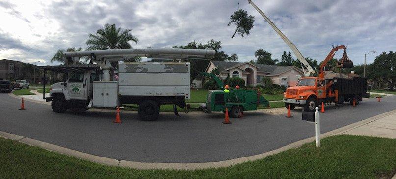 Brian's Quality Tree Service