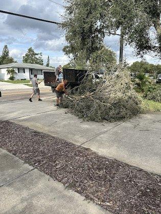 It's All Good Tree Service and Stump Grinding