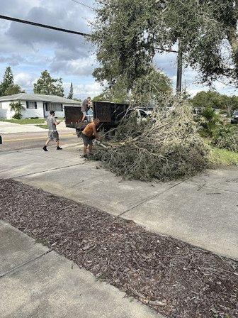 It's All Good Tree Service and Stump Grinding
