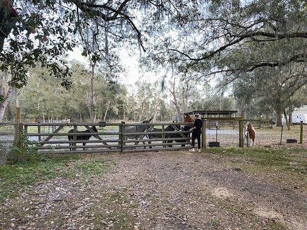 Maria's Farm