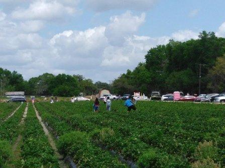 Favorite Farms, Inc.