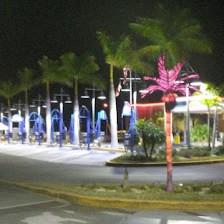 The Palms Car Wash