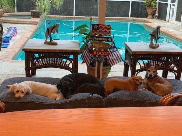 JoePaw's Pet Paradise