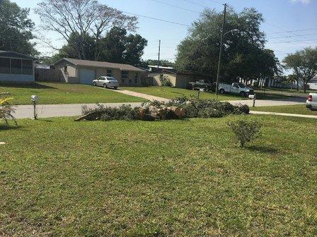 Jimmy Willett Tree Service Inc.