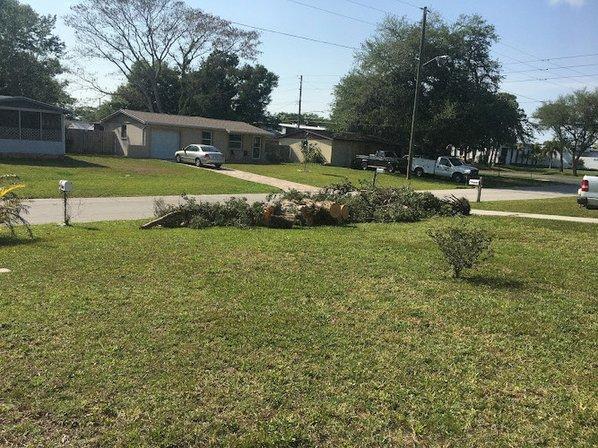 Jimmy Willett Tree Service Inc.