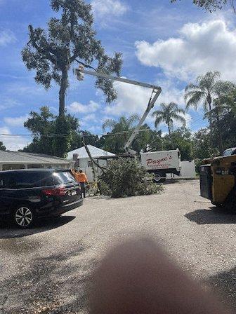 Payne's Environmental Services