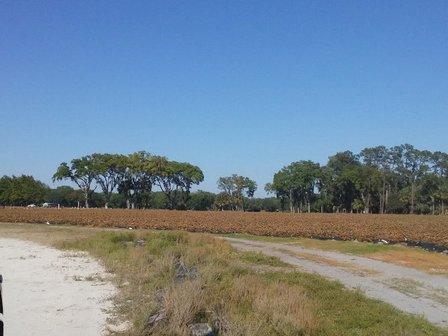 Hinton Farms