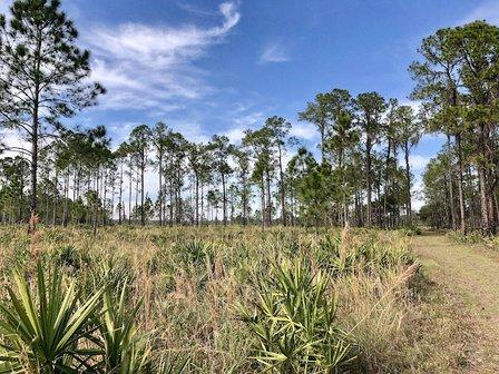 Blackwater Creek Nature Preserve
