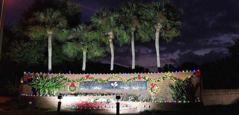 Boyette Springs HOA