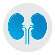 Alejandro Pepen-Romero, MD - Florida Kidney Physicians