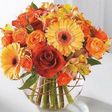 Tampa's Florist Inc