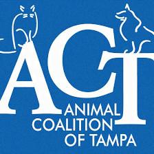 Animal Coalition of Tampa