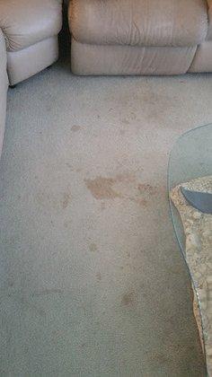 Friendly Carpet and Tile Cleaning