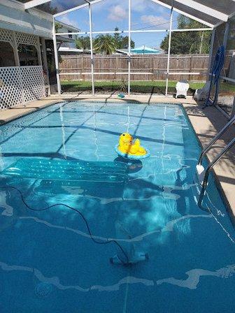 sammie porch pool service llc