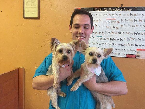 Prestige pet care