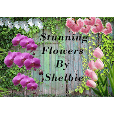 Stunning Flowers by Shelbie