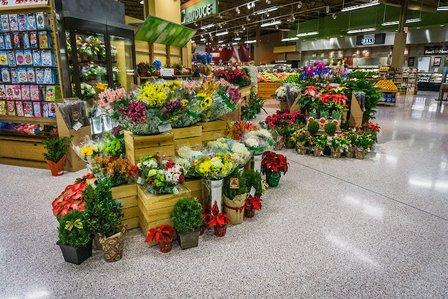 Publix Super Market at Britton Plaza