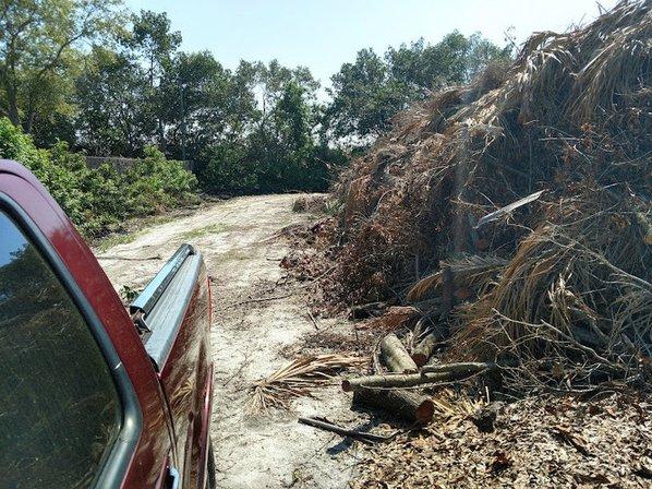 St. Petersburg Brush and recycling