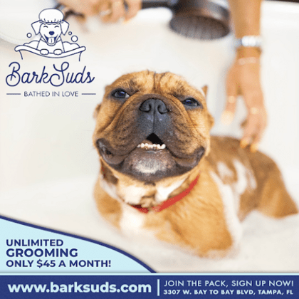 BarkSuds