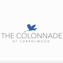 The Colonnade at Carrollwood