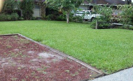 Sod Scape