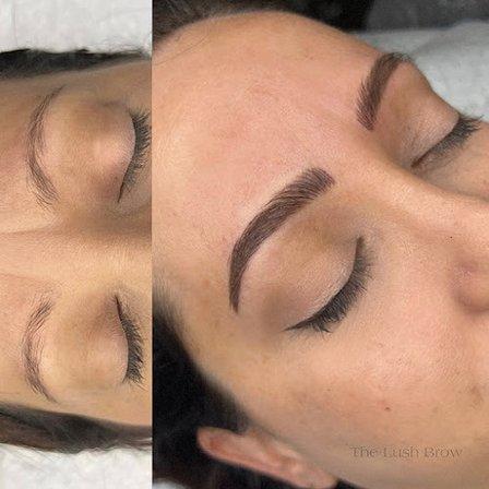 The Lush Brow