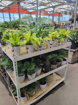 Garden Center at The Home Depot