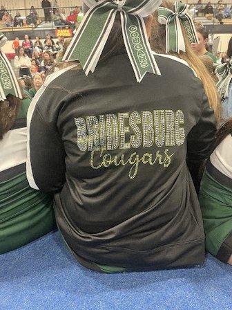 Champion Rhinestones