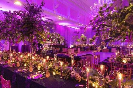 Botanica International Design & Decor Studio