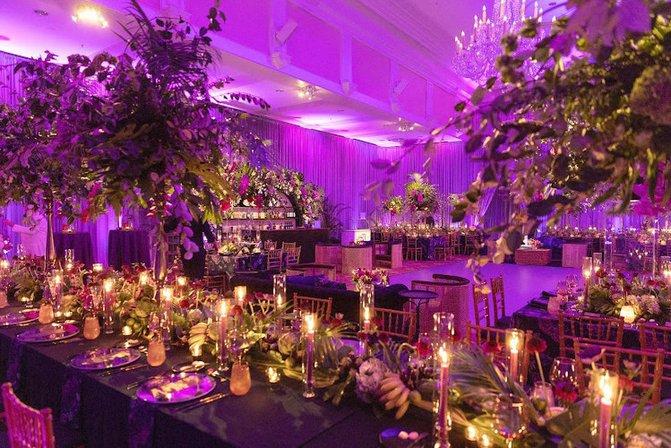 Botanica International Design & Decor Studio
