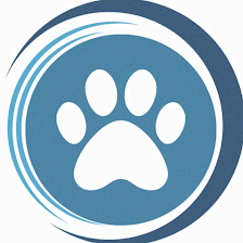 Animal Hospital of Tampa Bay