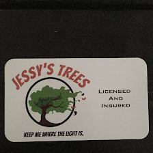 Jessy’s Trees